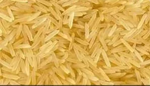 1509 Basmati