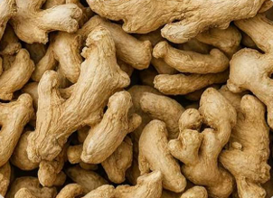 Dried Ginger