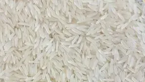 Sharbati Rice