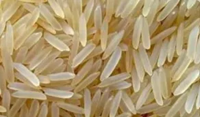 Pusa Basmati