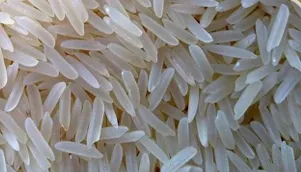Pusa Basmati